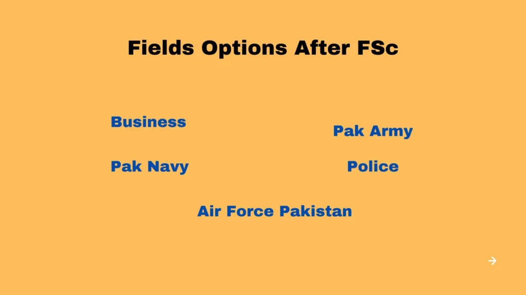 Options after FSc